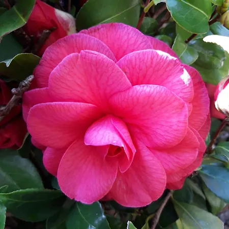 La Mergozzina Casa vacanze