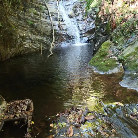 La Mergozzina Mergozzo