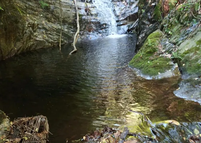 La Mergozzina メルゴッツォ